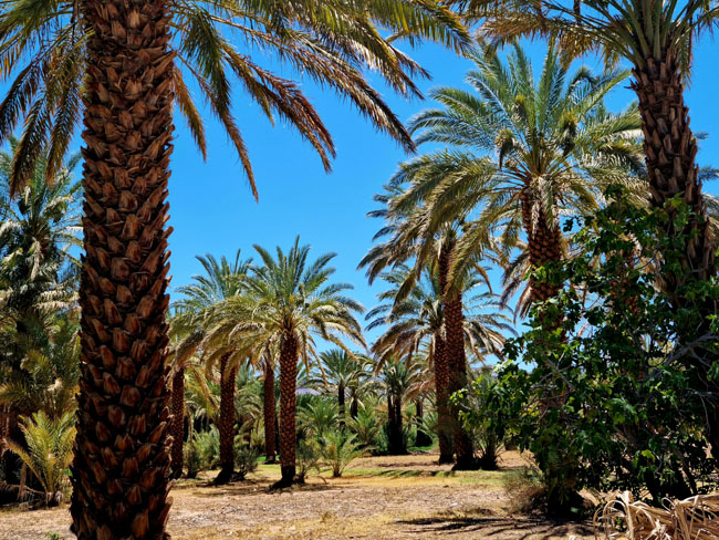 Voyage sud Maroc – Au départ de Ouarzazate
